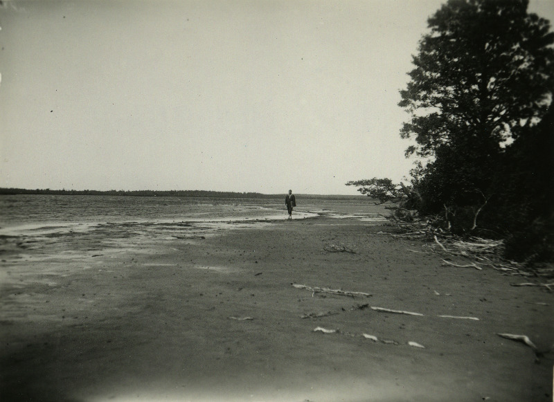 Järise järve idarannik.