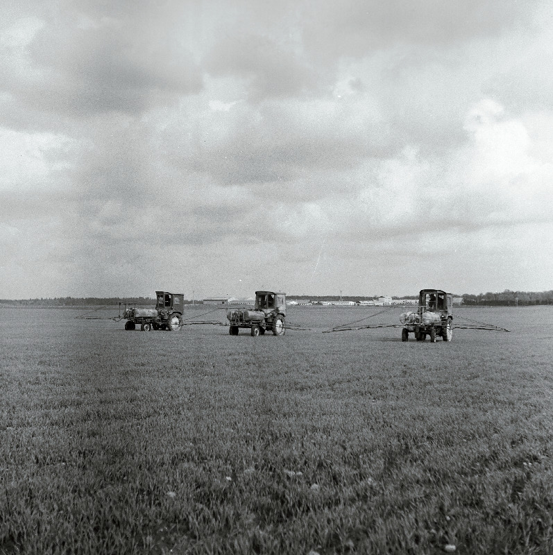 Umbrohutõrje Vinni näidissovhoostehnikumi põllul.