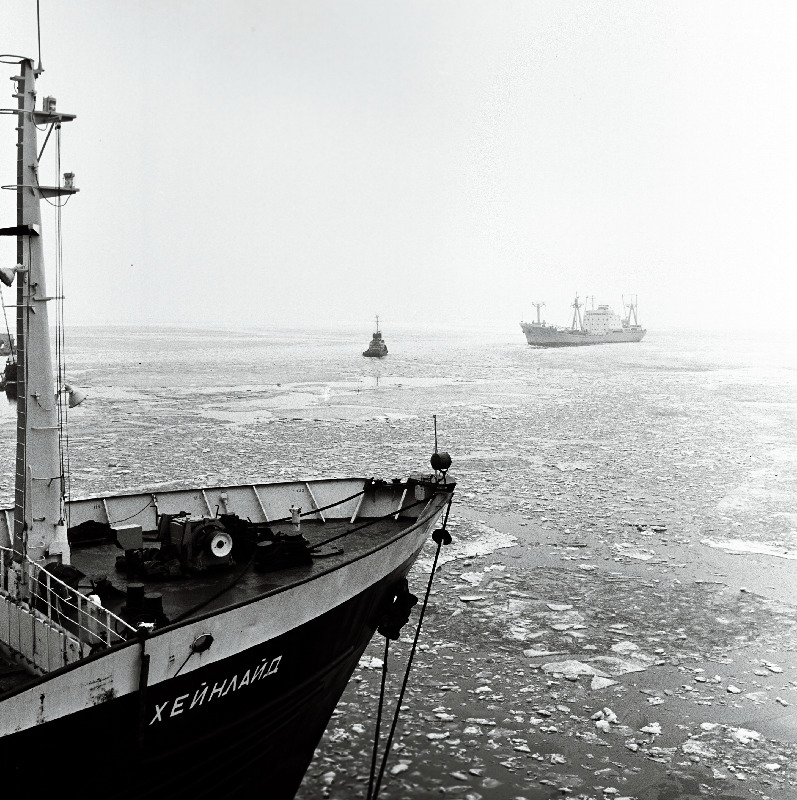 Mootorlaev "Heinlaid" Tallinna sadamas.