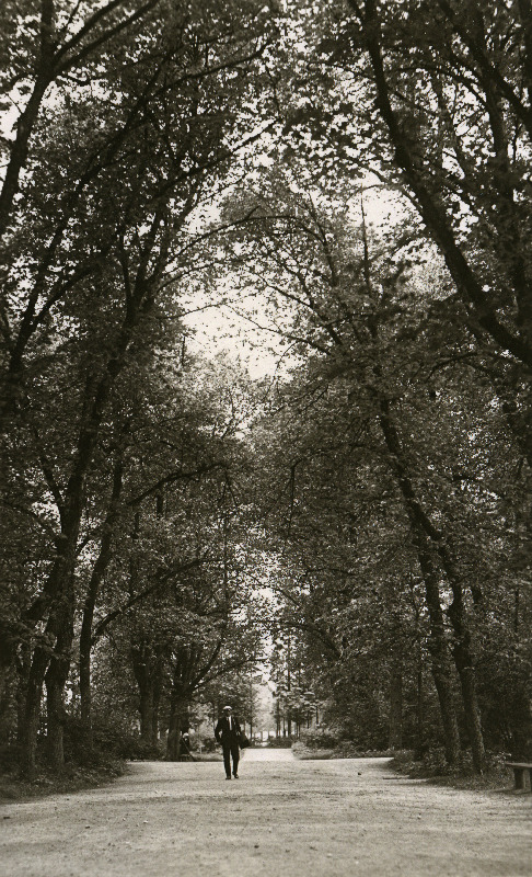 Raadi mõisa pargi peapuiestee.