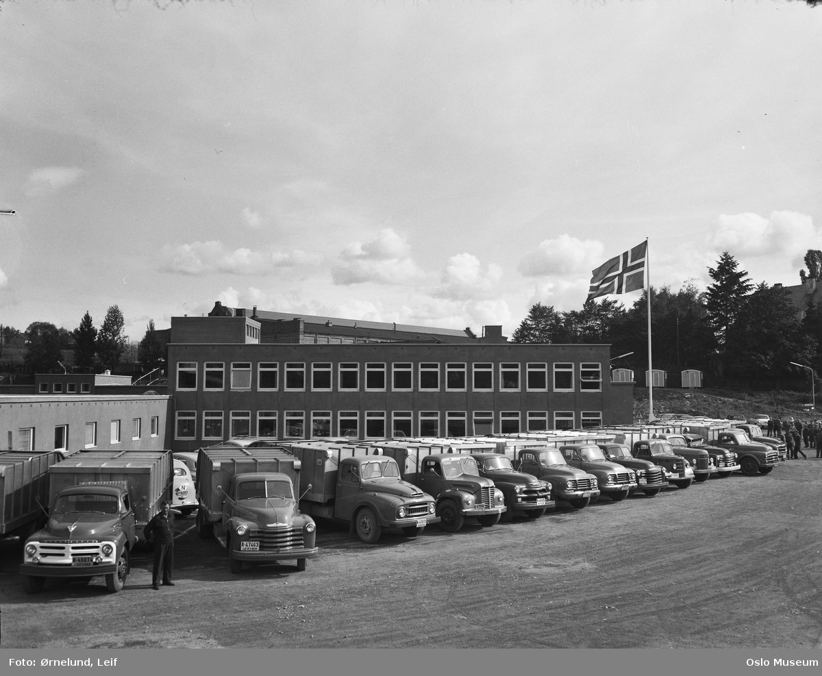 Oslo renholdsverk, lastebiler, kontorbygning, flagg, Lastebilene fra venstre: Studebaker 1954-55, Chevrolet 1948-53, engelskbygd Dodge, Chevrolet 1954, to Bedford.