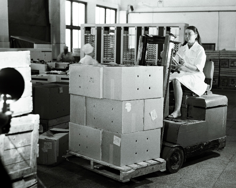 Kanamunade transportimine Tallinna Linnuvabrikus.