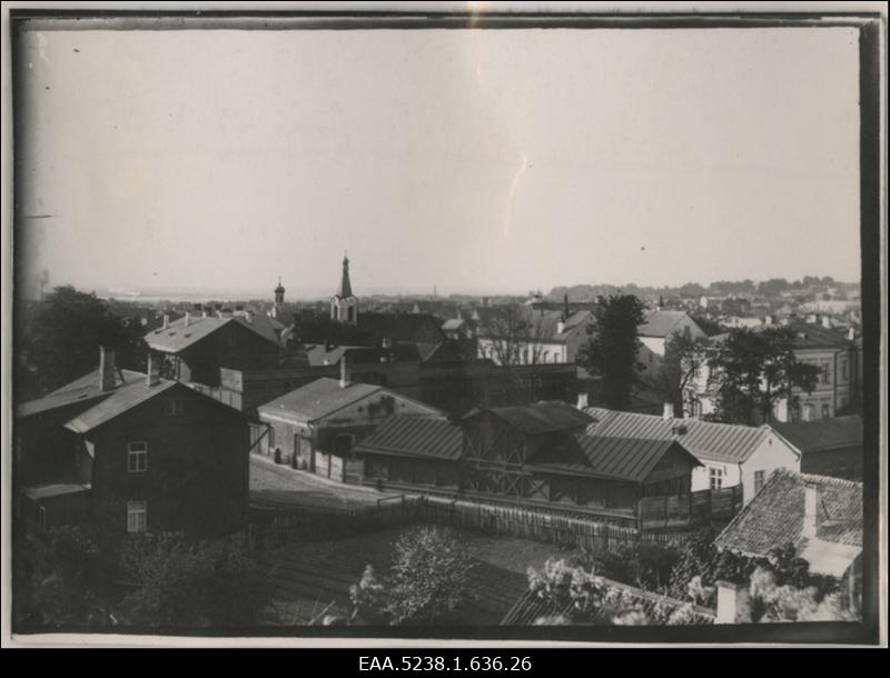 Vaade Tartu linnale Meltsi tiigi poolt, koopia fotost