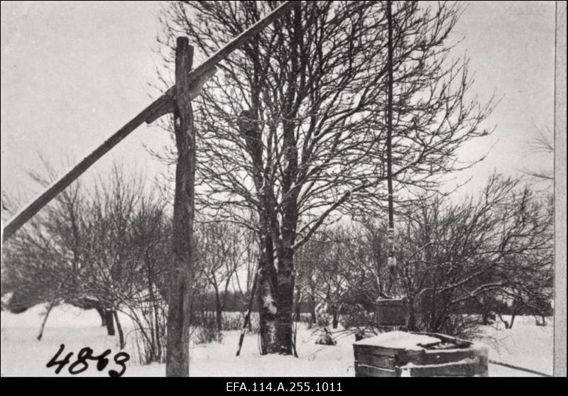 Vabadussõda. Sõjategevus Volmari piirkonnas. Soome vabatahtlikud Eestis. Tallinna garnisoni sõdurite eluolu, spordivõistlused Kalevi spordiväljakul, paraadid, õppused, õppelaagrid. Vabariigi aastapäeva paraadid. Riigikogu istung. Pilte Eesti Sõjamuuseumi eksponaatidest.
