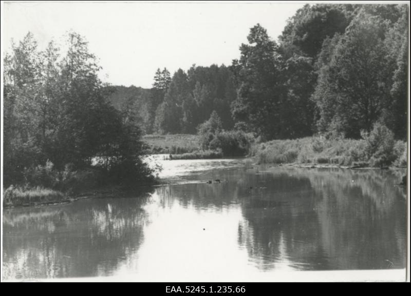 Vaade järvele