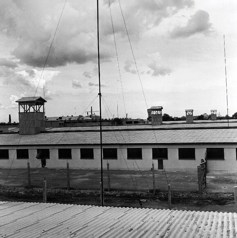 Vaade Tallinna Linnuvabrikule Saha- Loos.