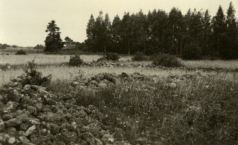 Võhma maalinn.