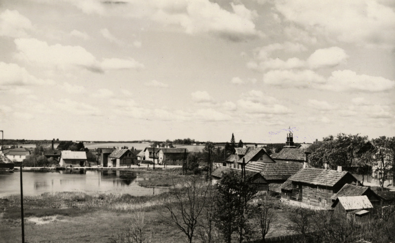 Vaade üle järve Suure-Jaani elektrijaamale ja jahuveskile, paremal vanad majad turuplatsi ääres.