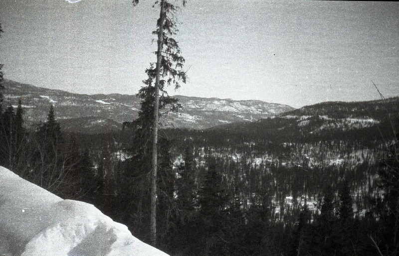 Talvine vaade mägedele-orgudele [Skandinaavias?]