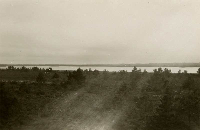 Vaade kirdest Järise järvele.