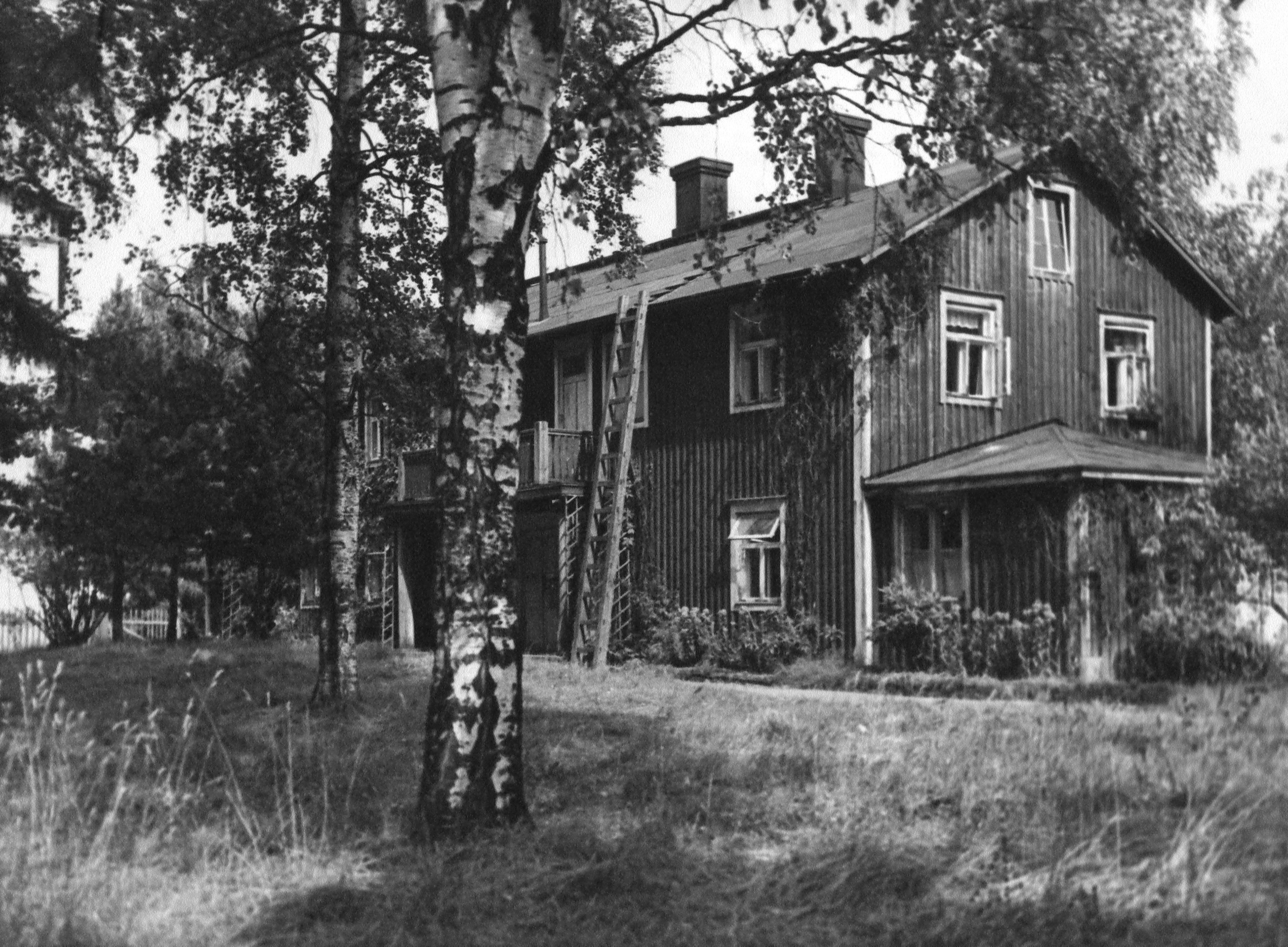 Lauttasaari