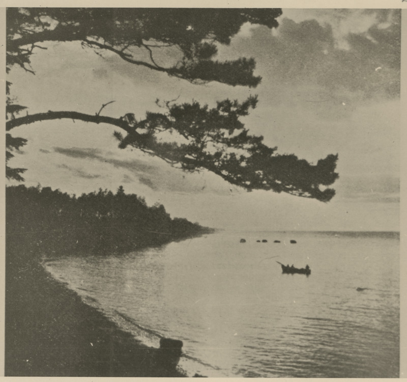 Läänemere rannik. Koopia fotost