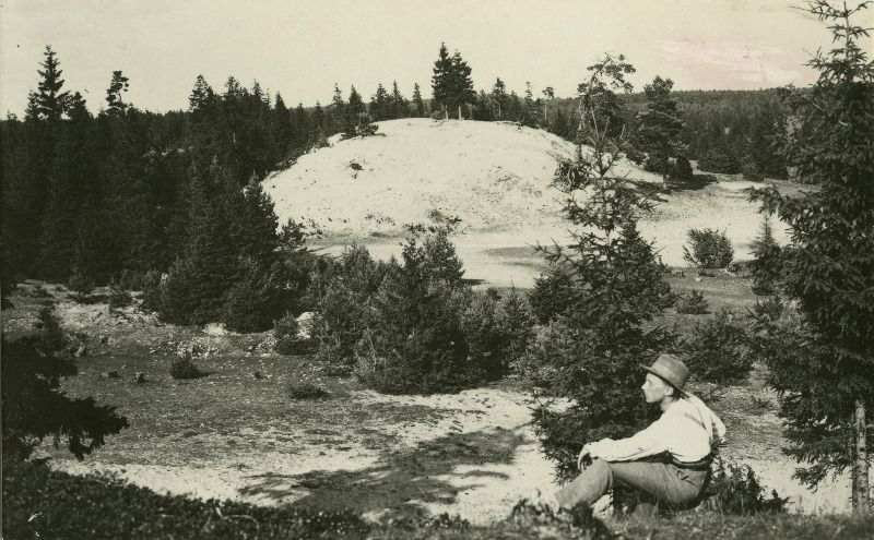 Liivamägi Järumetsa e. Karujärve lähedal.