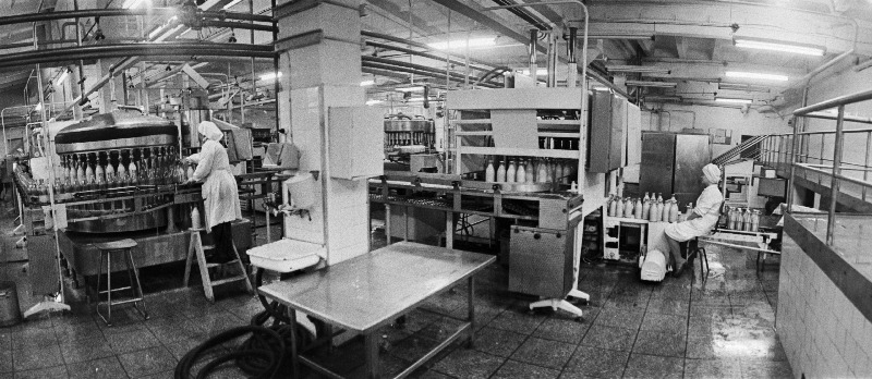 Tallinna Piimatoodete Kombinaadi piimavillimise automaatliin.