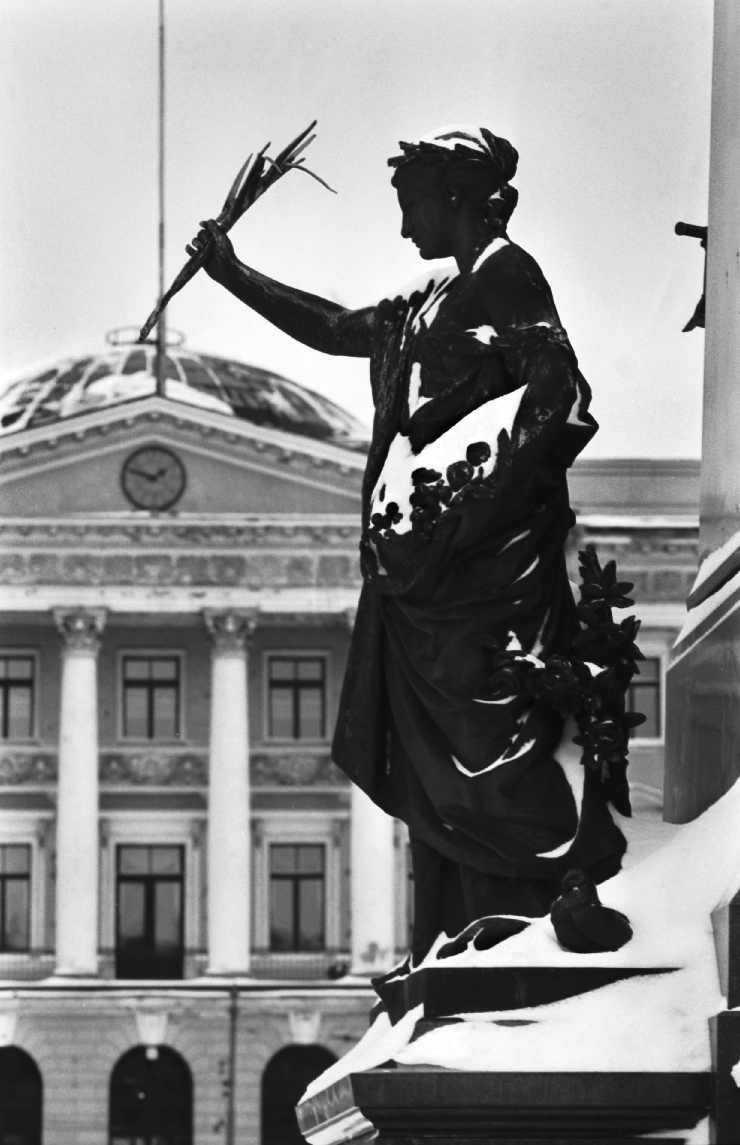 Senaatintori