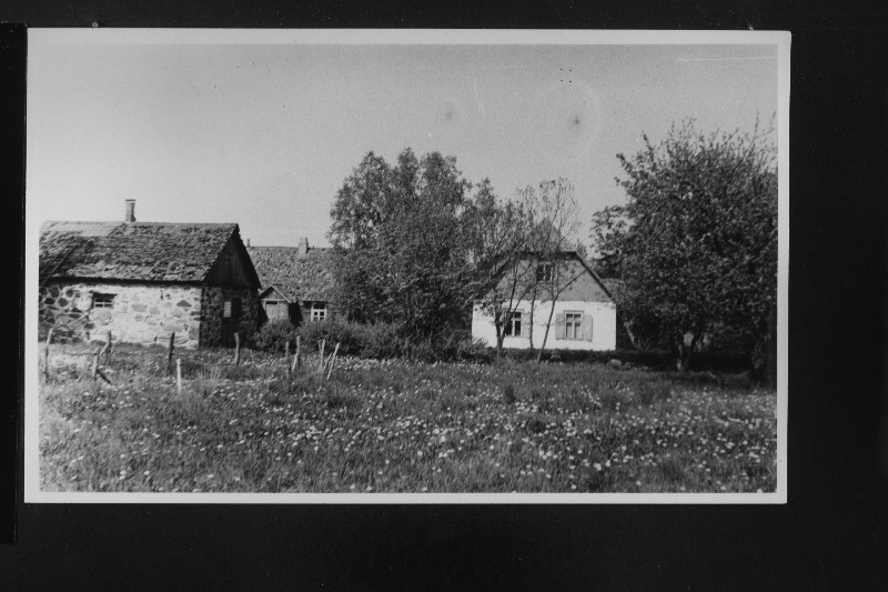 Kuusiku talu Kloogal, kus on elanud helilooja Konstantin Türnpu.