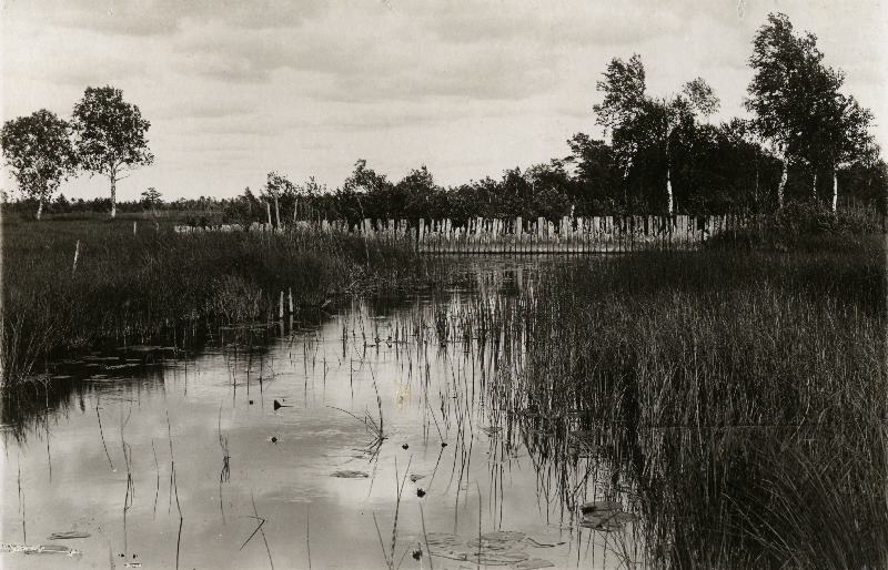 Nava jõgi.