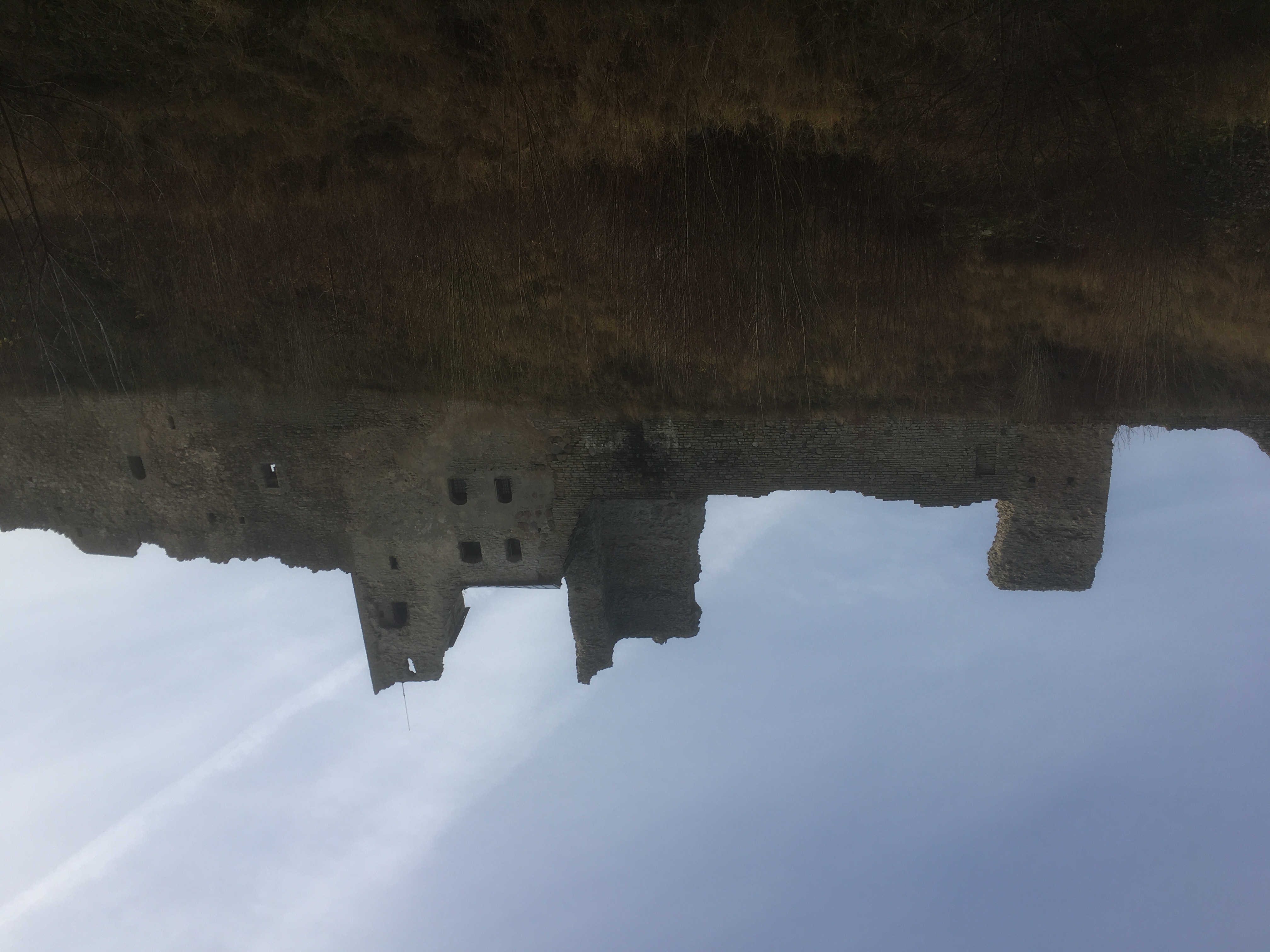 Rakvere castle seen from Vallikraavi