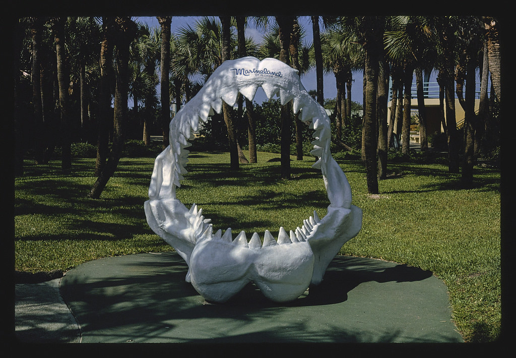 Sharks mouth, Marineland, Whitney Park, Route A1A, Marineland, Florida (LOC)