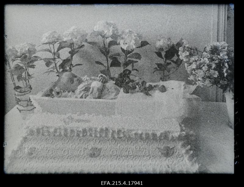 Allan Tipu (Tipp) põrm kirstus.
