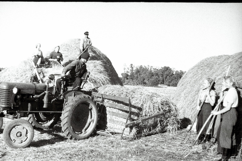 Märjamaa keskkooli 10. klassi õpilased õpetaja Sõrmuse juhtimisel töötamas Avangardi kolhoosis põhu kokkuvedamisel.