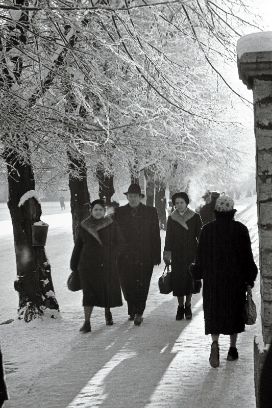 Talvine härmas Tallinn.