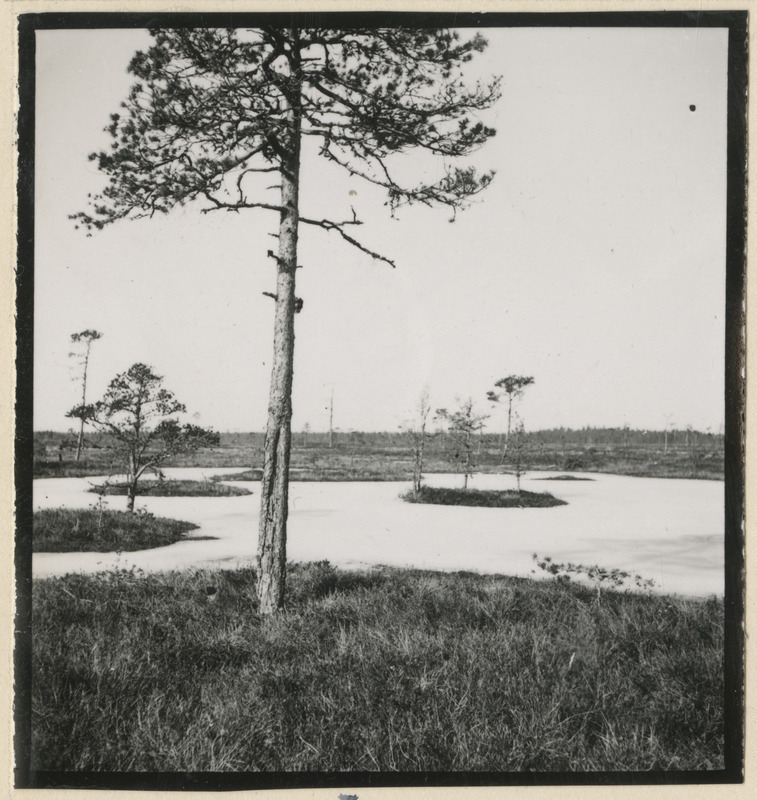 Ropazi soo Riiast idas