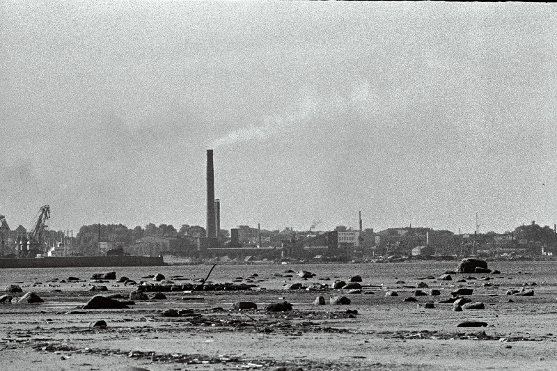 Tallinna panoraam (võetud Piritalt) ja valge reisijate laev saabub Tallinna.