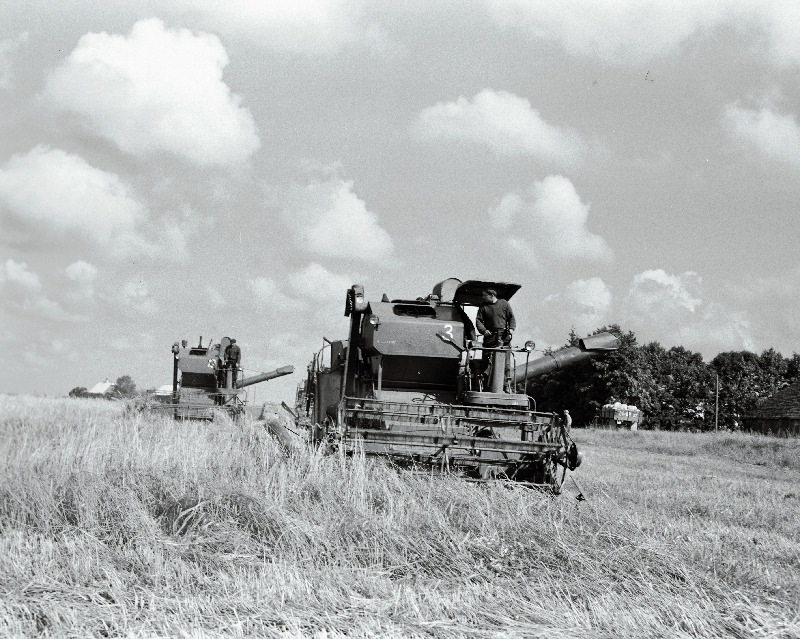Viljakoristamine Väike-Maarja kolhoosi põllul.