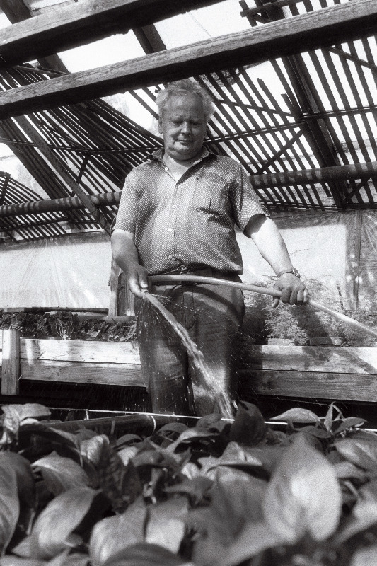 [Musta] tee aiandis, juhataja Jaan Jõekäär(s)?, rooside maja ja Anne Vahtra.