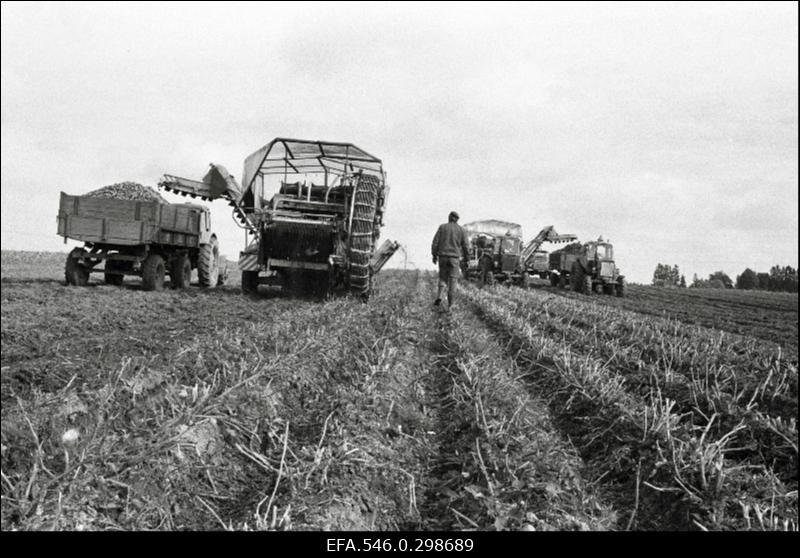 Jõgeva Pajusi RH. Lillepere