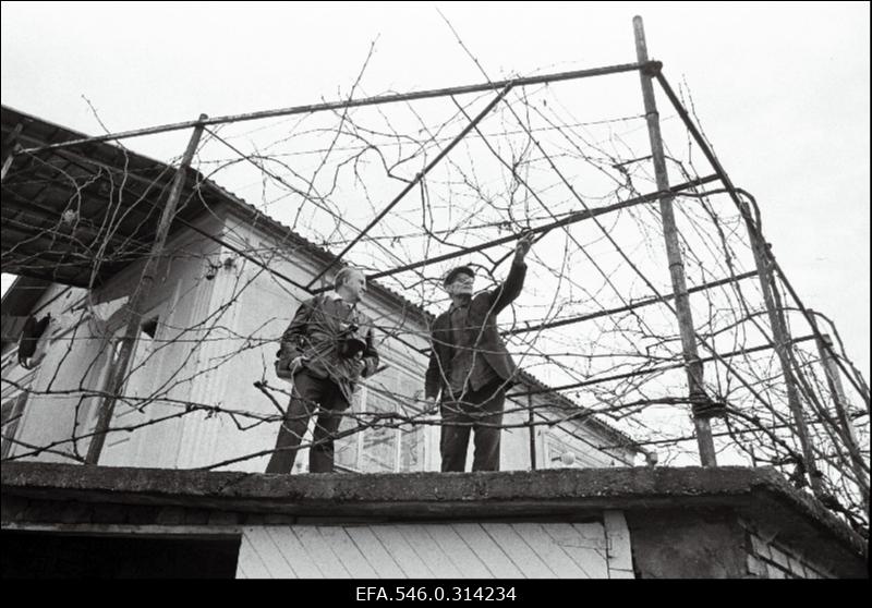 Eesti juurtega Salme ja Sulevi küla elanikud Abhaasias.