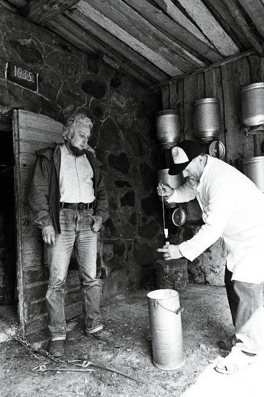 Pildid Päivila talust (peremees Kalev Kann).