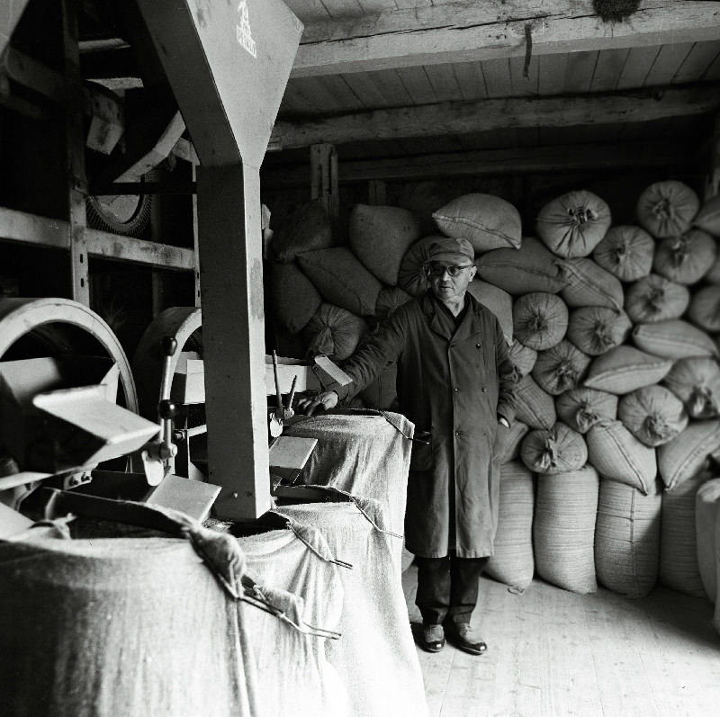 Jahuveski sisevaade.