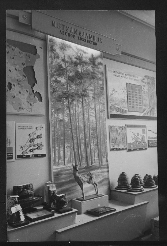 Nurk vabariiklikult põllumajandusnäituselt Kunstihoones.