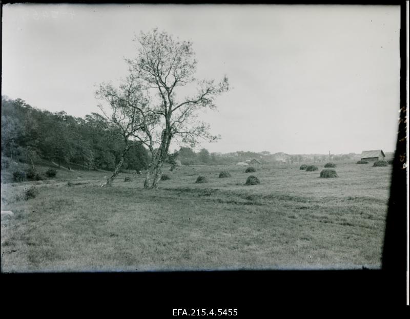Vaade Viljandi ümbruse heinamaadele.