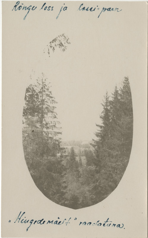 Rõngu loss ja lossipark "Hingedemäelt" vaadatuna, ovaalne foto