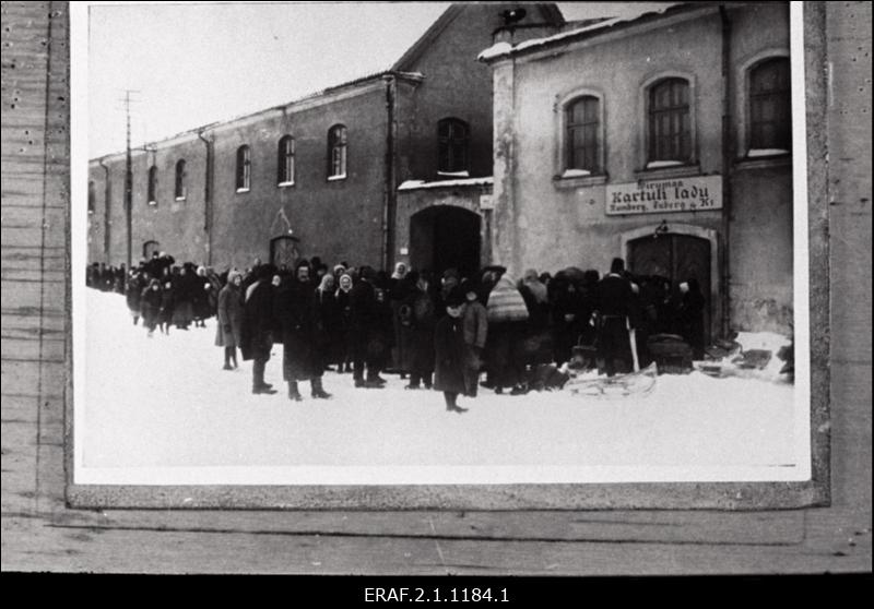 Kartulisaba Tallinnas 1919.-20.a. talvel