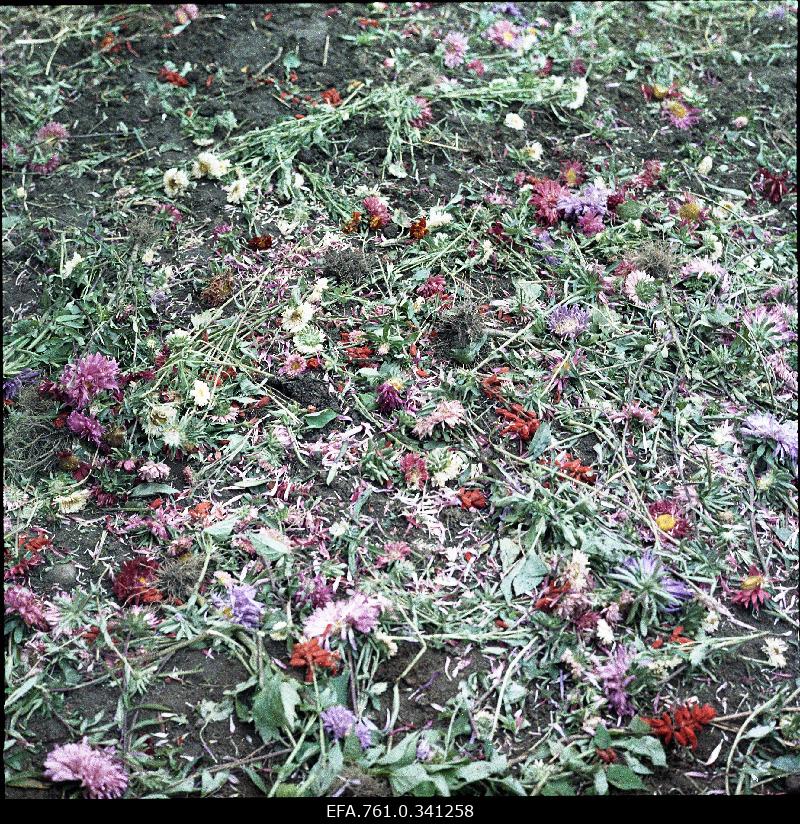 Stuudio "Tallinnfilm" muusikaline lastefilm "Nukitsamees" filmivõtted.