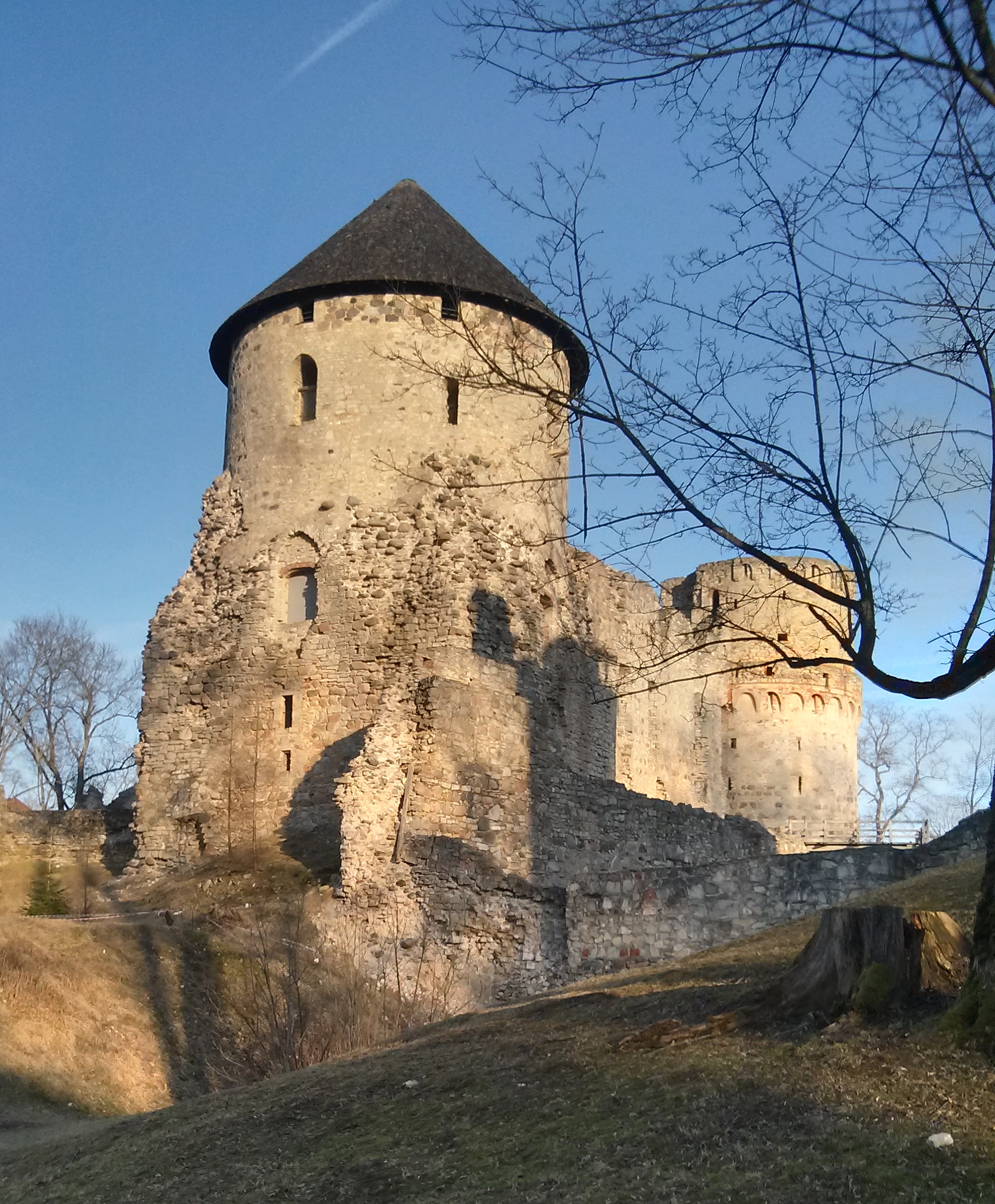 Cēsis Castle