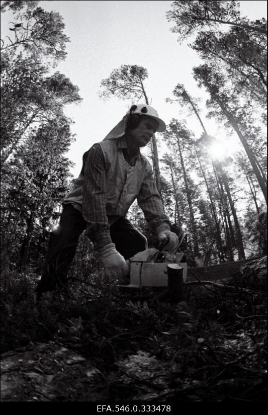 Kullamaa mesila. Pressipäev Kullamaal.