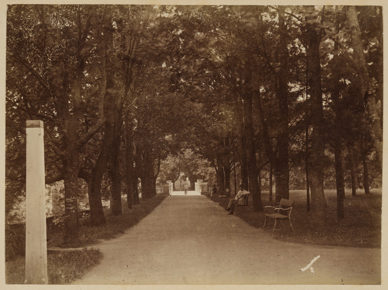 Inglisillale viiv allee Toomemäel