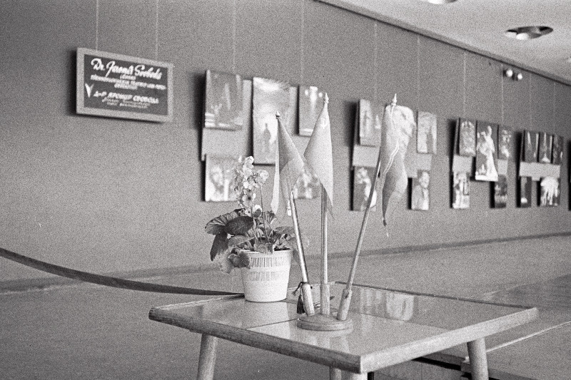 Tšehhi fotograafi dr Jaromin Svoboda näituse avamine kinoteatris "Kosmos", organiseerisid Välismaaga Sõpruse ja kultuurisidemete Arendamise Eesti Ühing ja Tallinna fotoklubi.