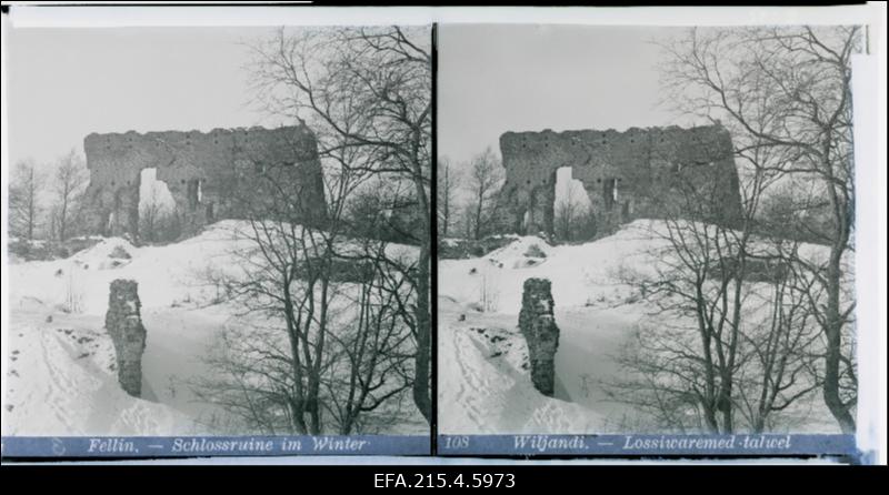 Vaade Viljandi ordulinnuse varemetele.