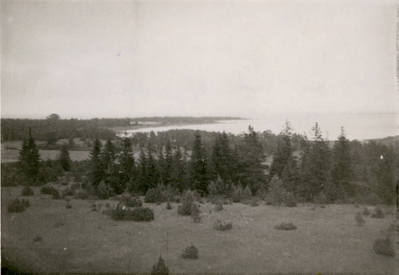 Vaade Kuri õigeusu kiriku katuselt kadakasele karjamaale ja Kuri lahele.