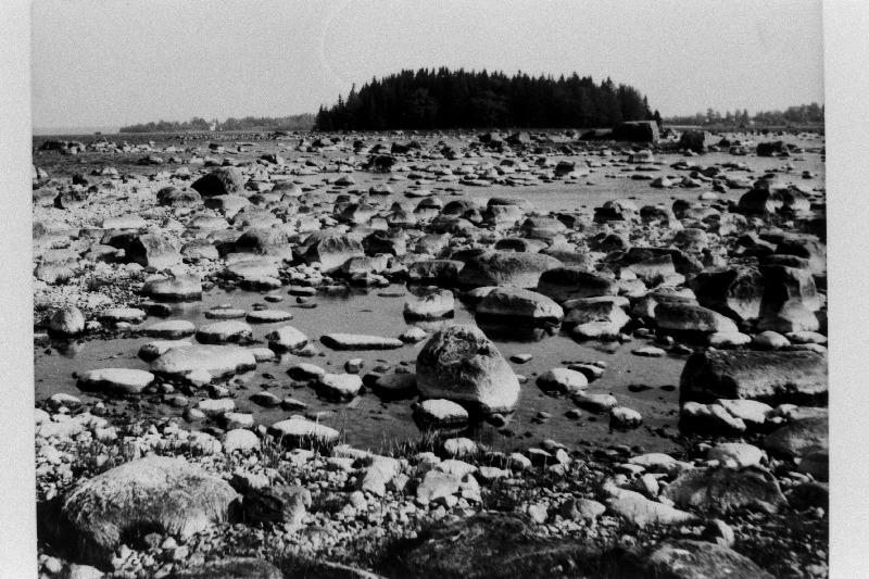 Pärispea (Viinistu) rand Lahemaa Rahvuspargis.