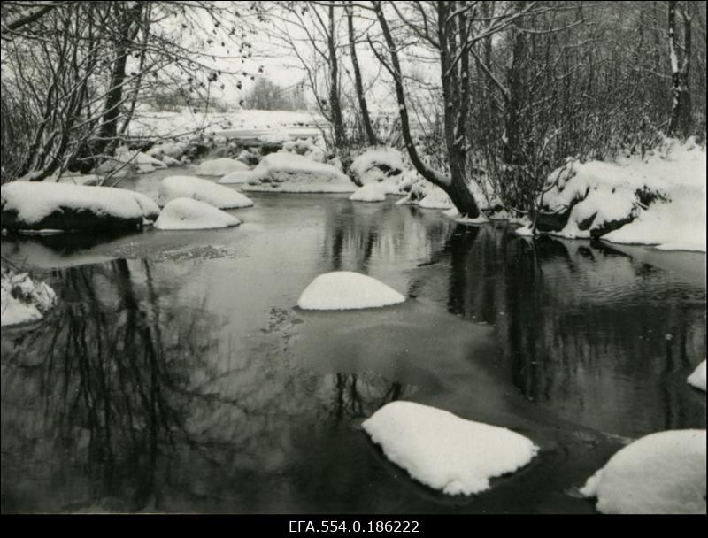 Uueveski oja talvel.