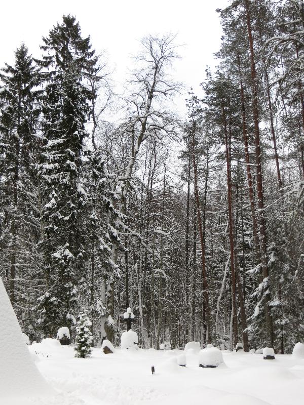 Esku kabel. Kalmistu.