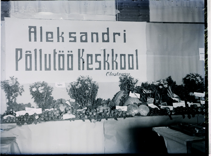 Olustveres asunud Aleksandri Põllutöö Keskkooli väljapanekud Viljandi Eesti Põllumeeste Seltsi näitusel.27.09.1925.