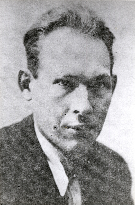 Tammlaan, Evald - kirjanik.